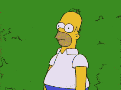 homer-bush